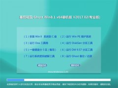 ѻ@Ghost Win8.1 64λ bCv201702(⼤)