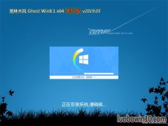 ľL(fng)Ghost Win8.1 (X64) ؄ebCv201905()