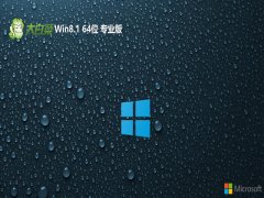 ײ64λwin8.1D(zhun)עv2025.01