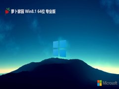 }҈@⼤win8.1 64λ(d)C(j)v2025.02