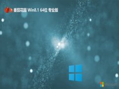 ѻ@win8.1 64λؿ쌣ðv2025.01